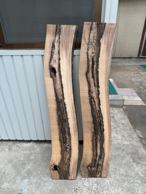 黒柿